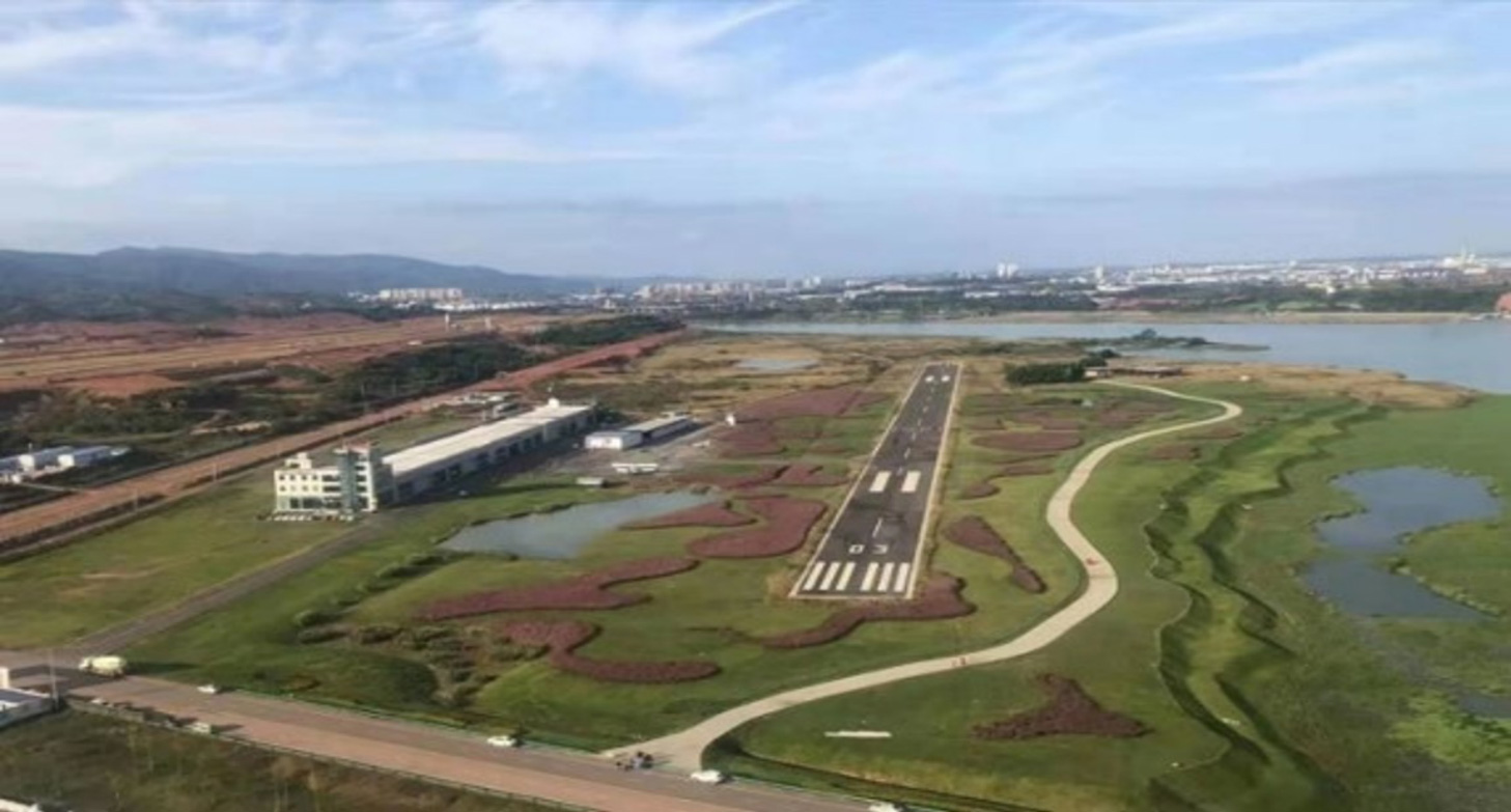 運動駕駛員執照